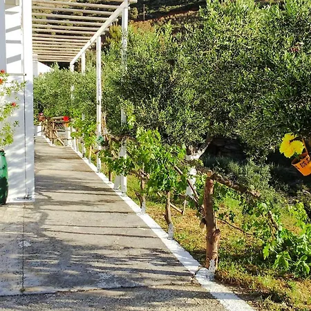Tatil Evi Stone Kypri Andros
